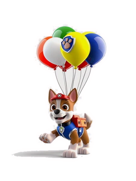 Paw Patrol Decor Party