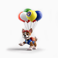 Paw Patrol Decor Party