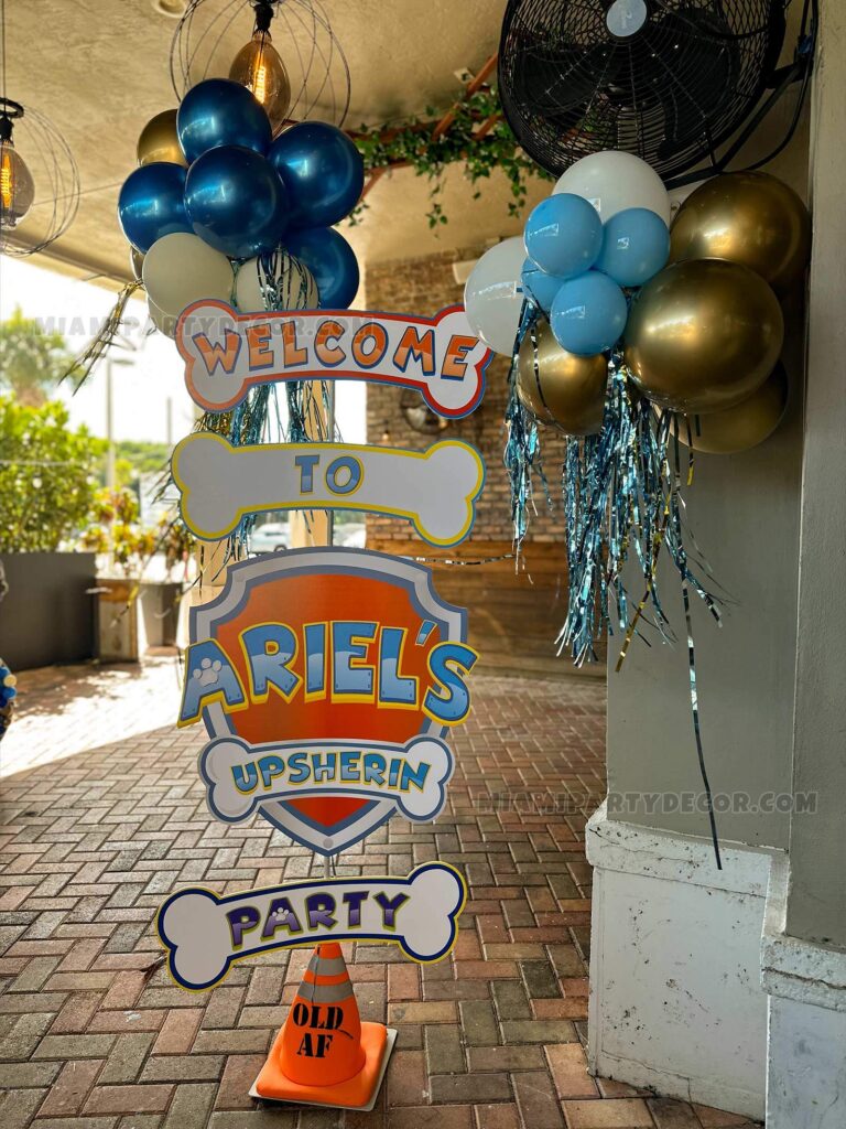 product paw patrol party space backdrop miami party decor 4 v