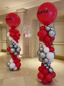 Hizentra Branded Balloon Column Setup gallery image 2
