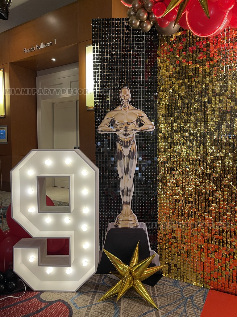 Hollywood Shimmer Backdrop Setup gallery image 4