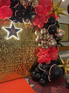 Hollywood Shimmer Backdrop Setup gallery image 5
