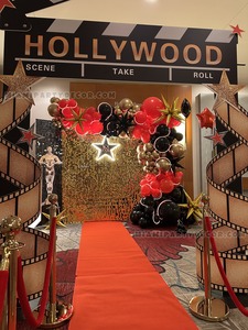 Hollywood Shimmer Backdrop Setup gallery image 7