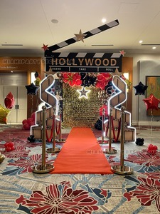 Hollywood Shimmer Backdrop Setup