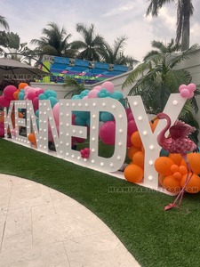 Miami Vice Garland and Marquee Letters