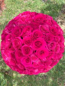 200 Roses Bouquet in Miami Flower Box image 3