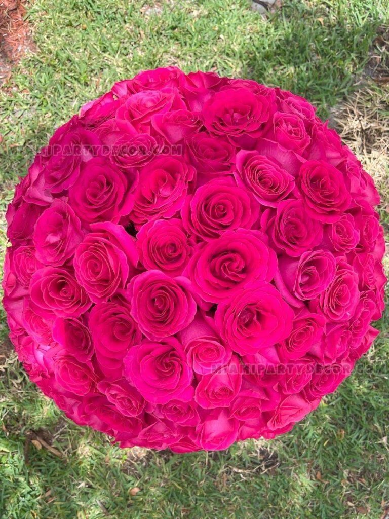 200 Roses Bouquet in Miami Flower Box image 3