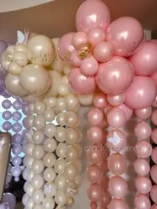 Birthday Balloon Setup in Miami | Daria Theme image 3