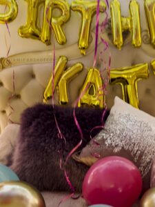 Birthday Fiesta – Balloons Room Decoration Miami image 6