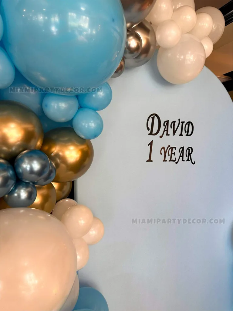 Boss Baby Decorations Backdrop for Birthdays in Miami image 4