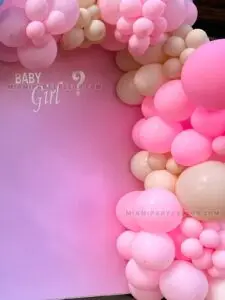 Boy or Girl – Backdrops for Outdoor Reveals in Miami image 3