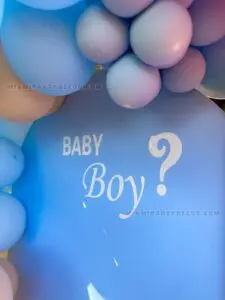 Boy or Girl – Backdrops for Outdoor Reveals in Miami image 4