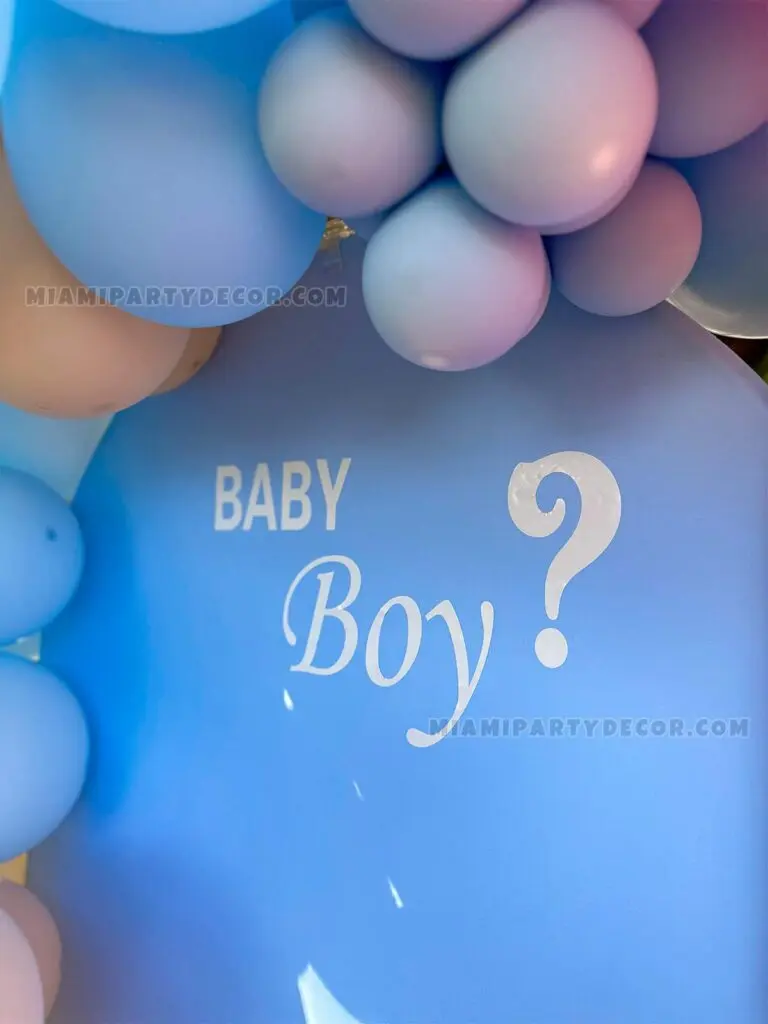 Boy or Girl – Backdrops for Outdoor Reveals in Miami image 4