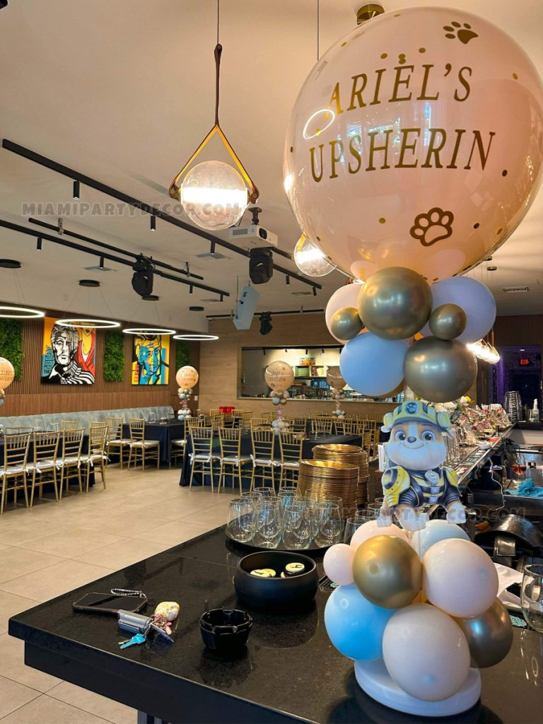 PAW Patrol Party Space – Balloon Garland Miami image 6