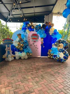 PAW Patrol Backdrop Birthday Decorations in Miami image 3