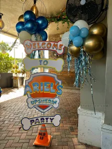PAW Patrol Backdrop Birthday Decorations in Miami image 6